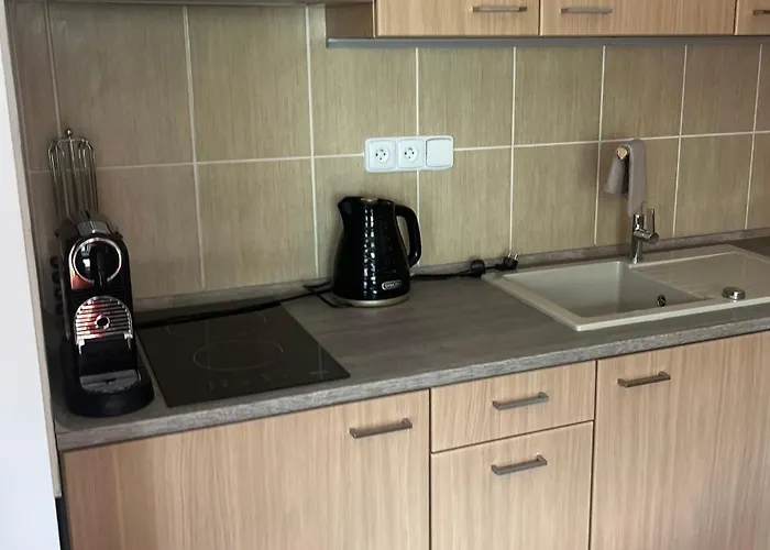 Moninec A4 Pro Az 6 Osob S Vyhledem Na Sjezdovku I Do Krajiny *